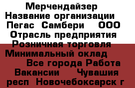 Мерчендайзер › Название организации ­ "Пегас" Самбери-3, ООО › Отрасль предприятия ­ Розничная торговля › Минимальный оклад ­ 23 500 - Все города Работа » Вакансии   . Чувашия респ.,Новочебоксарск г.